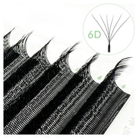 W-shaped 6D