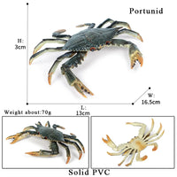 animal model 23