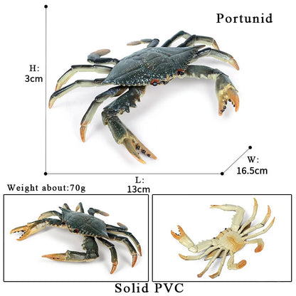 Oenux Simulation Ocean Sea Life Animals Model Lovely Crab Action Figures Toy Cake Toppers Collection Jouet Kids Education Gift