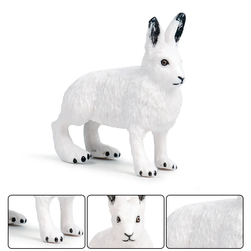 Oenux Arctic South Pole Animals Simulation Penguins Polar Bear Wolf Beluga Whale Action Figures Model Figurine PVC Kid Toy Gift