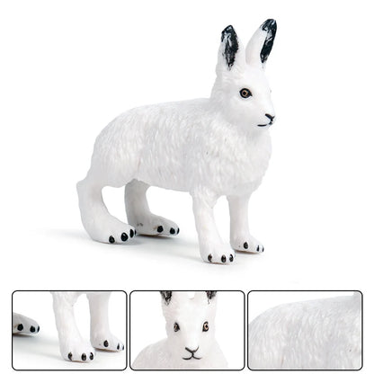 Oenux Arctic South Pole Animals Simulation Penguins Polar Bear Wolf Beluga Whale Action Figures Model Figurine PVC Kid Toy Gift