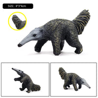 animals model 13