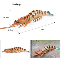 Shrimp model 1