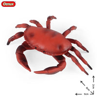 ocean toy 1
