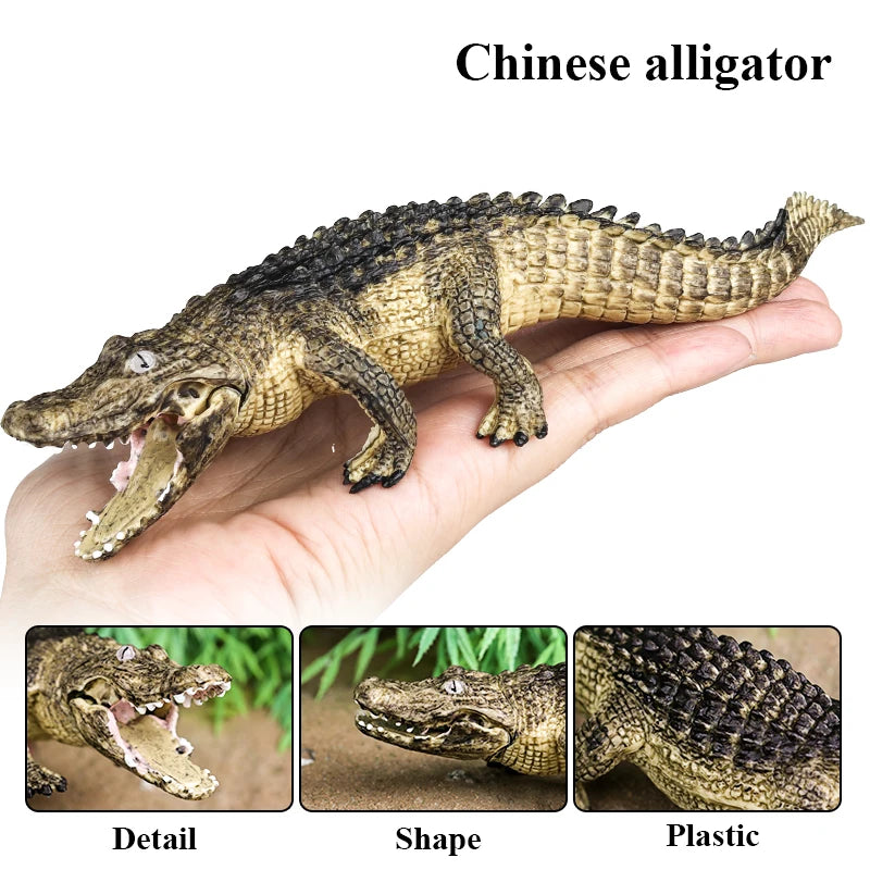 Oenux Wild Animals Action Figures Simulation Sarcosuchus Crocodiles Boar Croc Model PVC Collection Decorate Kids Educational Toy