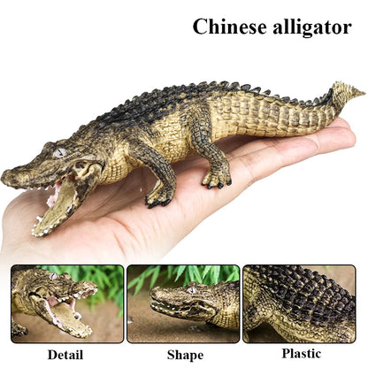 Oenux Wild Animals Action Figures Simulation Sarcosuchus Crocodiles Boar Croc Model PVC Collection Decorate Kids Educational Toy
