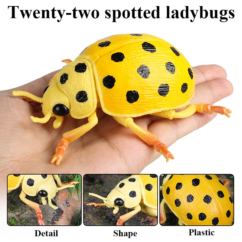 Oenux Insect Animals Model Figurine Butterfly Ant Dragonfly Spider Bee Mantis Scorpion Action Figures Educational Kid Toy Gift