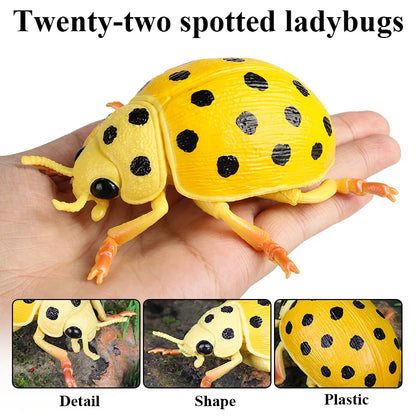 Oenux Insect Animals Model Figurine Butterfly Ant Dragonfly Spider Bee Mantis Scorpion Action Figures Educational Kid Toy Gift