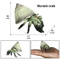 animal model 12