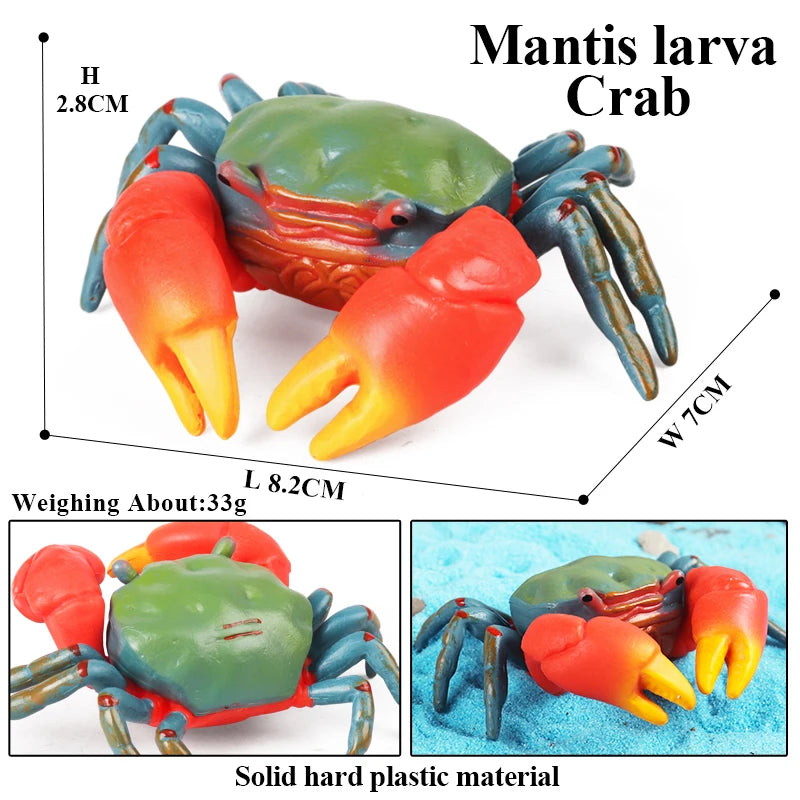 Oenux Simulation Ocean Sea Life Animals Model Lovely Crab Action Figures Toy Cake Toppers Collection Jouet Kids Education Gift
