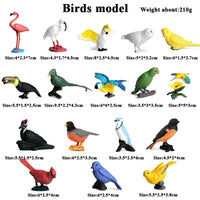 17pcs 1