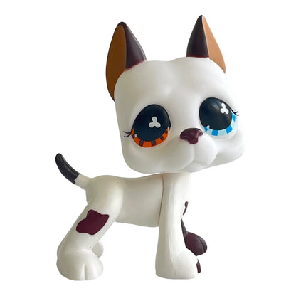 Rare pet toy Stands Short Hair Kitten Dog Dachshund Collie Spaniel Great Dane Original Bobble head toy lps