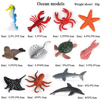 12pcs 5