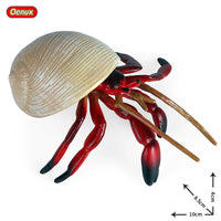 Crab model 21