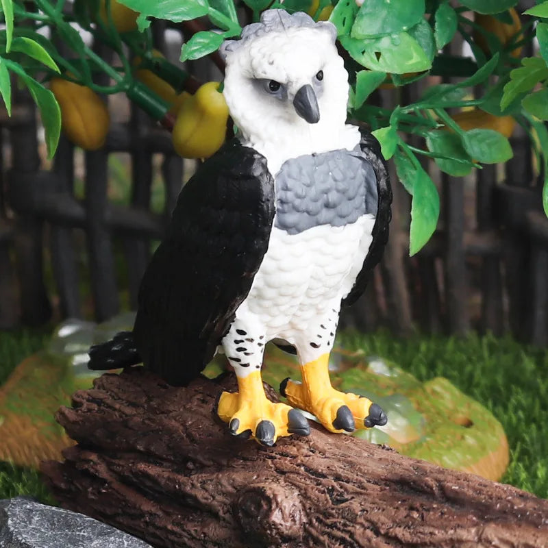 Oenux Wild Bird Animals Forest Night Eagle Condor Figurines PVC Action Figure Garden Decoration Education Miniature Toy Kid Gift