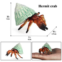 animal model 15