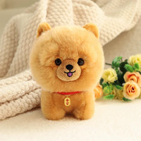 Chow Chow