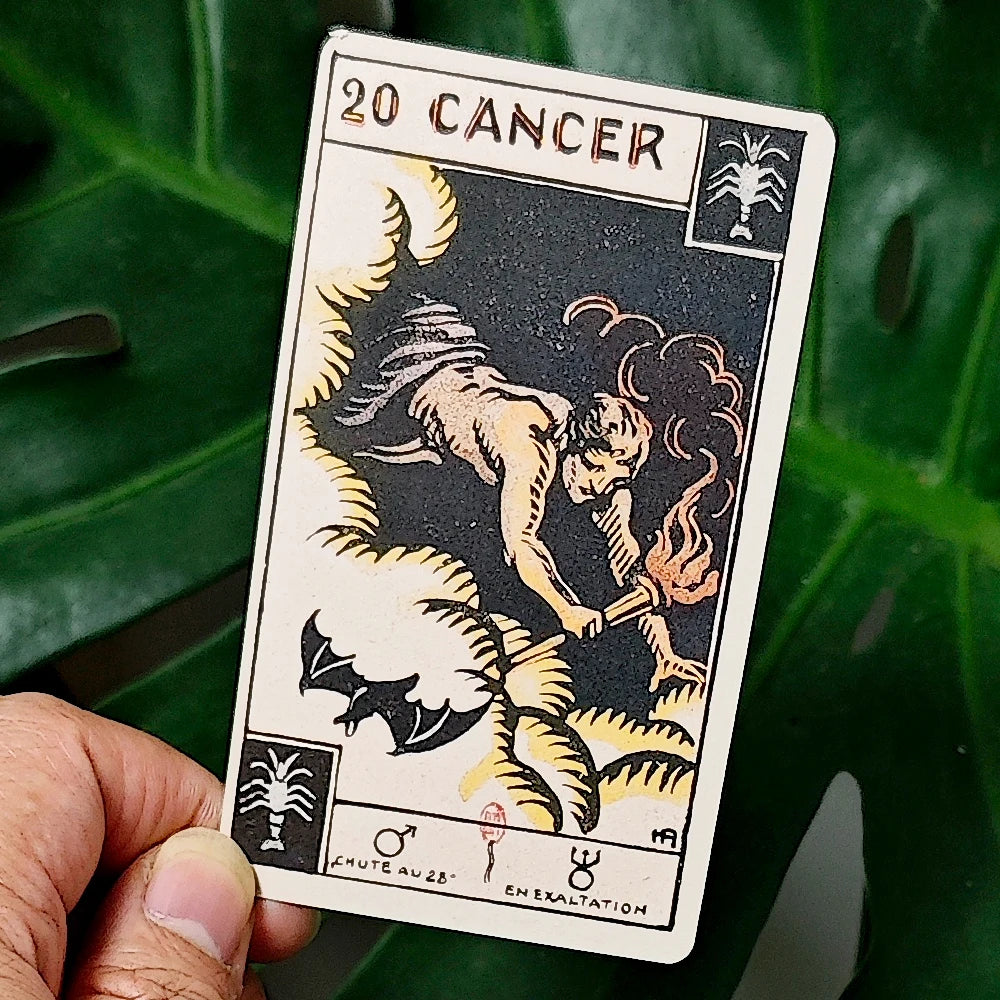 Astrological Zodiac Tarot Card Deck, "Le Tarot Astologique" Tarot Card 48 Pcs Oracle Cards 10.3*6cm