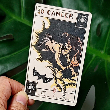 Astrological Zodiac Tarot Card Deck, "Le Tarot Astologique" Tarot Card 48 Pcs Oracle Cards 10.3*6cm