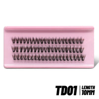 TD01