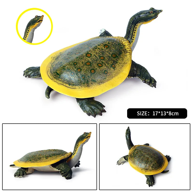 Oenux Ocean Animals  Leatherback Tortoise Turtle Growth Cycle Sea Life Model Figurines Action Figures PVC Education Kid Toy Gift