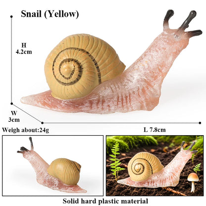 Oenux Wild Insect Animals Snails Growth Cycle Model Garden Decoration Figurines PVC Miniature Cute Education Kids Toys