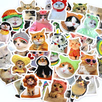 50pcs