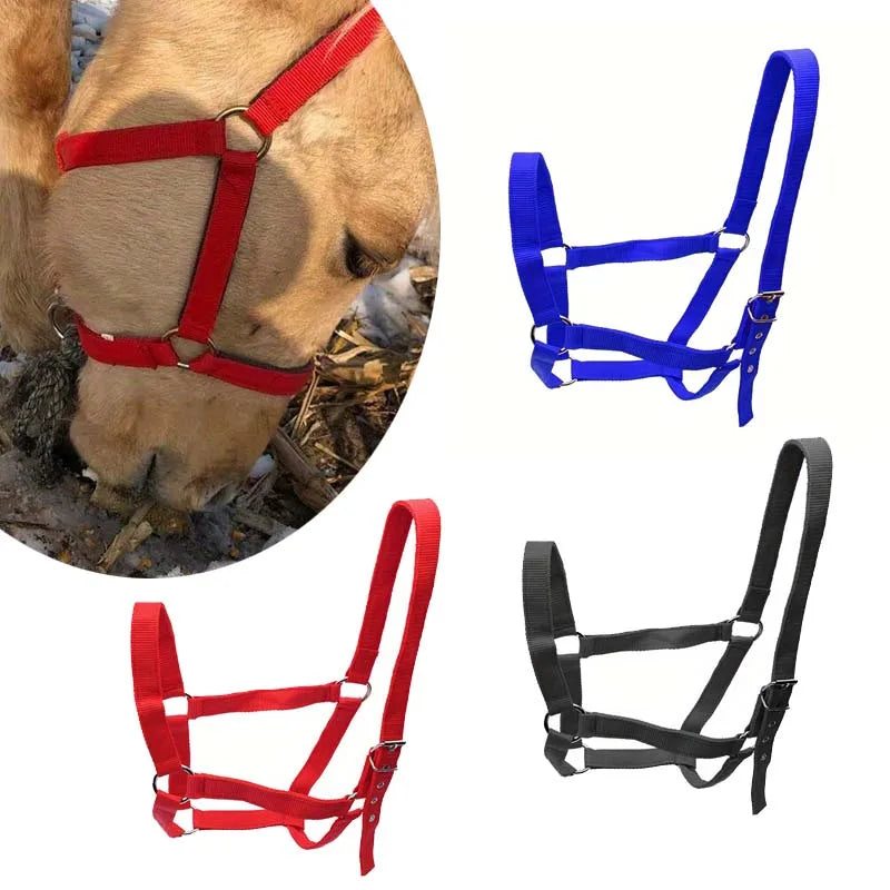 Professional Adjustable Horse Halter Equestrian Bridle Headcollar Ideal for Horse Training and Outdoor Riding