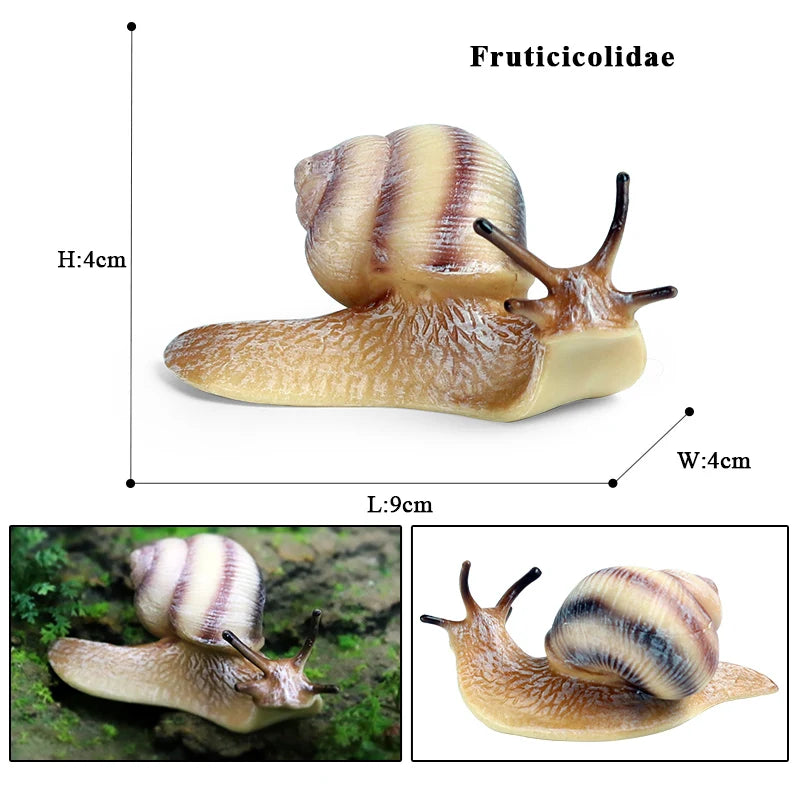 Oenux Wild Insect Animals Snails Growth Cycle Model Garden Decoration Figurines PVC Miniature Cute Education Kids Toys