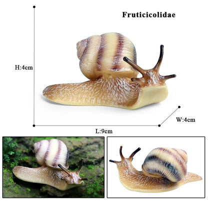 Oenux Wild Insect Animals Snails Growth Cycle Model Garden Decoration Figurines PVC Miniature Cute Education Kids Toys