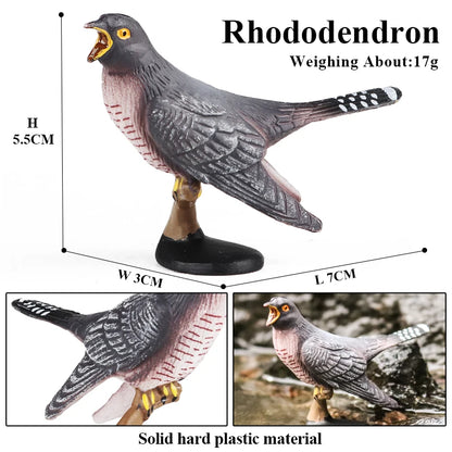 Oenux Garden Bird Figurines Snowy Owl Toucan Bucerotidae Animals Model PVC Action Figures Collection Toys For Kids Birthday Gift