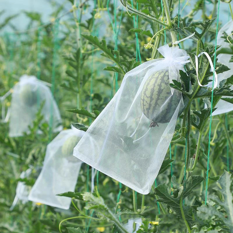 50Pcs Grapes Fruit Protection Bags Pest Control Anti-Bird Garden Netting Bags Mesh Agricultural Tree Garden Tool Bags