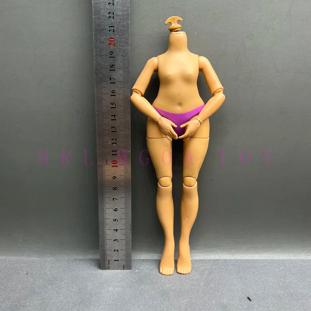 Original Slim Rainbow Middle School Doll Series 24cm Junior High School Sister and 28cm Big Sister Body DIY Toys