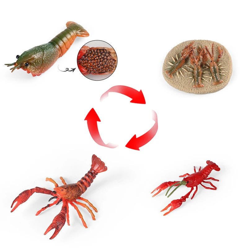 Oenux Ocean Animals Simulation Tiger Prawn Crayfish Shrimp Sea Life Model Figurines Action Figures Collection Toys For Kids Gift