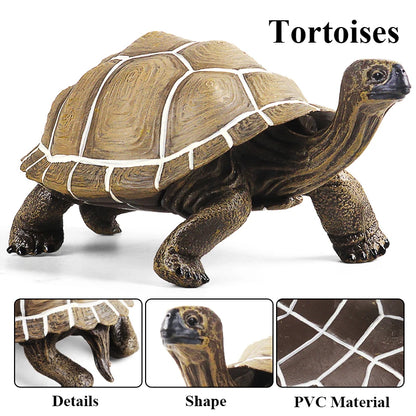 Oenux Ocean Animals  Leatherback Tortoise Turtle Growth Cycle Sea Life Model Figurines Action Figures PVC Education Kid Toy Gift