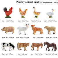 12pcs 23