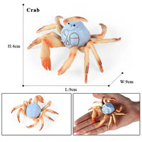animal model 35