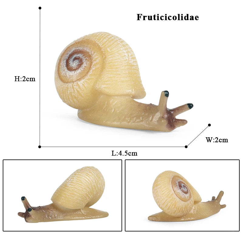 Oenux Wild Insect Animals Snails Growth Cycle Model Garden Decoration Figurines PVC Miniature Cute Education Kids Toys