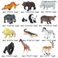 12pcs 29