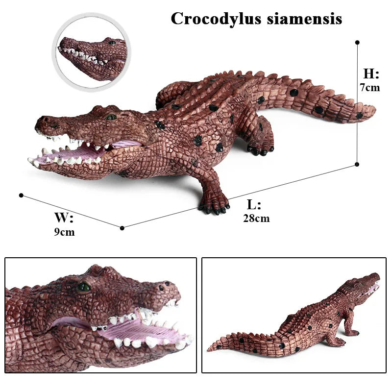 Oenux Wild Animals Action Figures Simulation Sarcosuchus Crocodiles Boar Croc Model PVC Collection Decorate Kids Educational Toy