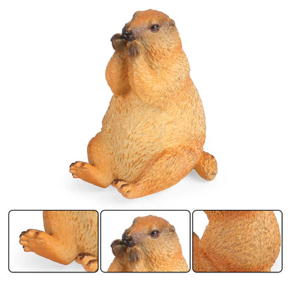 Oenux Wild Animals Simulation Rodent Marmot Mouse Model Squirrel Rat Chinchilla Action Figure Figurine Collection Cute Kid Toy
