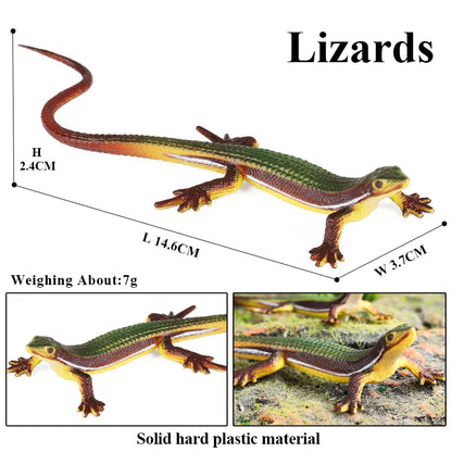 Oenux New Simulation Wild Reptile Animals Action Figures Lizard Model Figurines Kids Education Congnitive Scene Decoration Toy