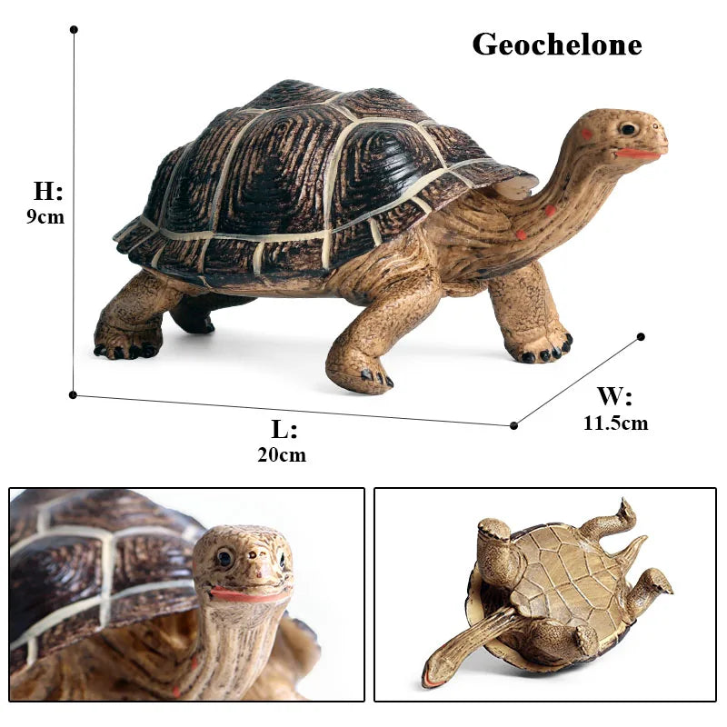 Oenux Ocean Animals  Leatherback Tortoise Turtle Growth Cycle Sea Life Model Figurines Action Figures PVC Education Kid Toy Gift