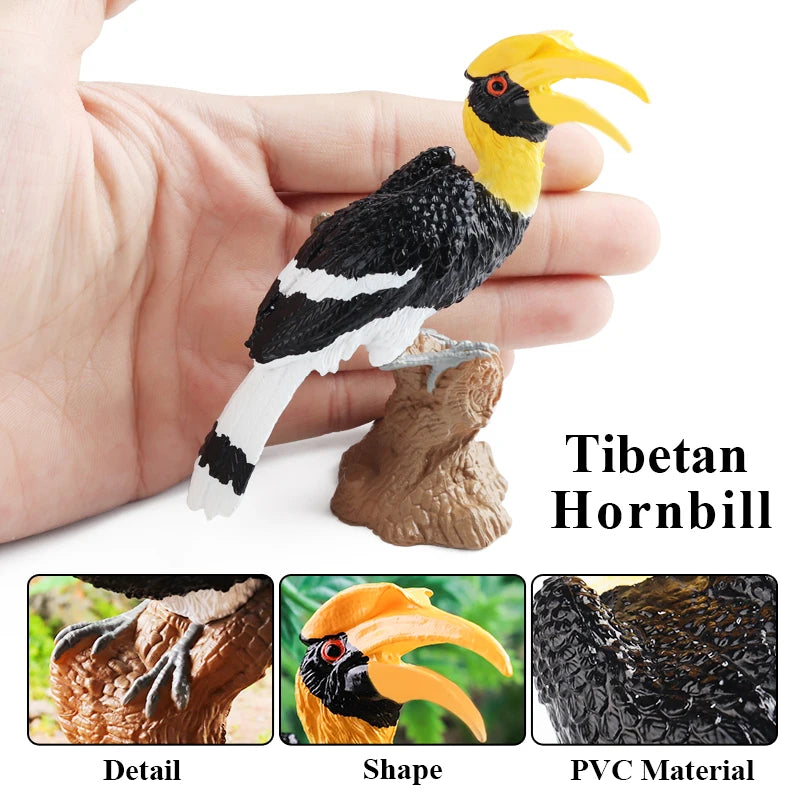 Oenux Garden Bird Figurines Snowy Owl Toucan Bucerotidae Animals Model PVC Action Figures Collection Toys For Kids Birthday Gift