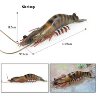 Shrimp model 2
