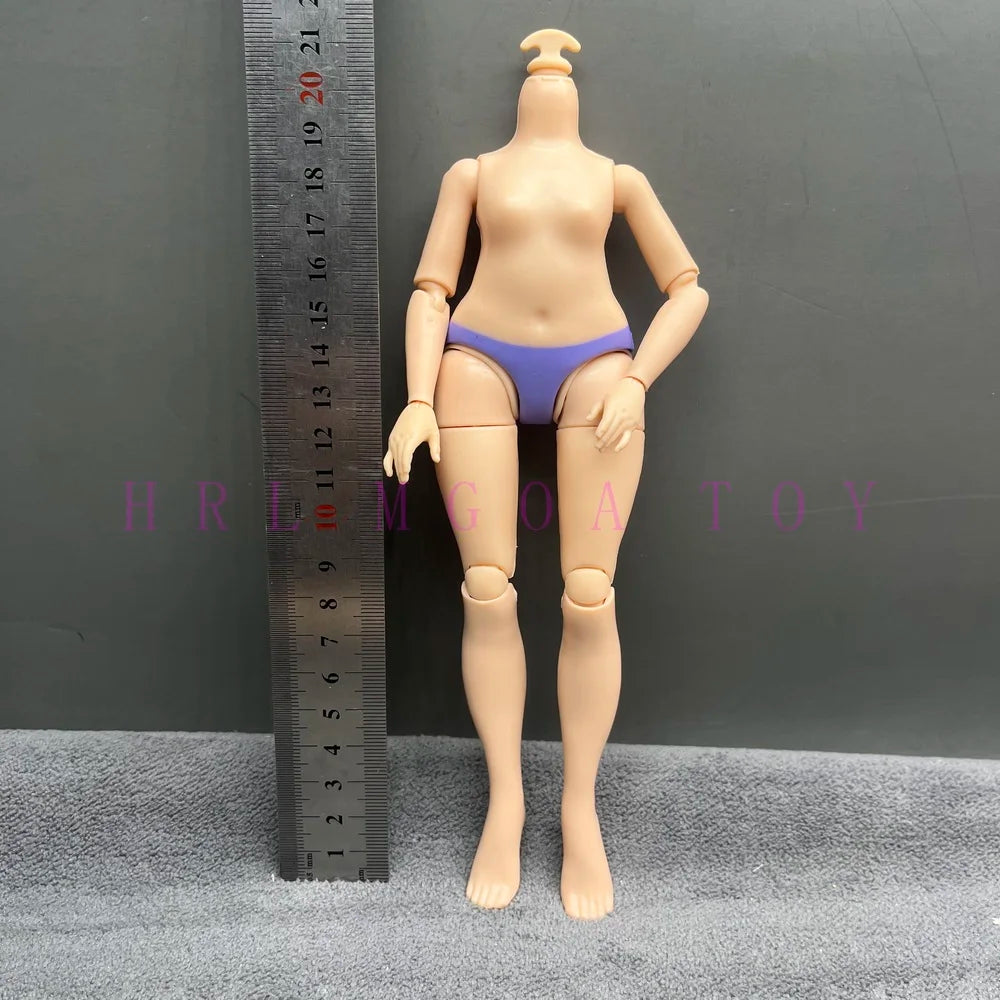 Original Slim Rainbow Middle School Doll Series 24cm Junior High School Sister and 28cm Big Sister Body DIY Toys