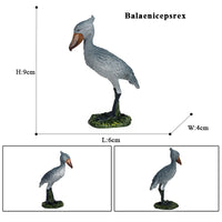 bird 26