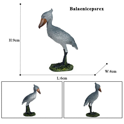Oenux Garden Bird Figurines Snowy Owl Toucan Bucerotidae Animals Model PVC Action Figures Collection Toys For Kids Birthday Gift
