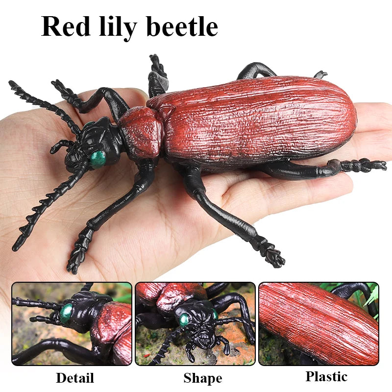 Oenux Insect Animals Model Figurine Butterfly Ant Dragonfly Spider Bee Mantis Scorpion Action Figures Educational Kid Toy Gift