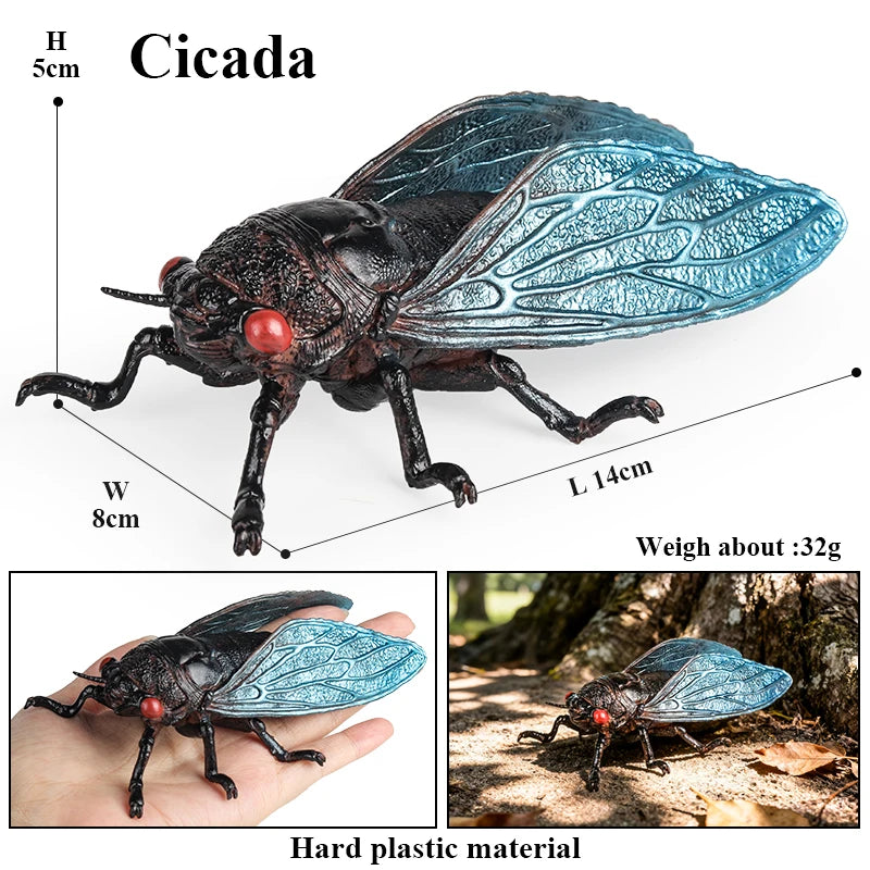 Oenux Insect Animals Model Figurine Butterfly Ant Dragonfly Spider Bee Mantis Scorpion Action Figures Educational Kid Toy Gift